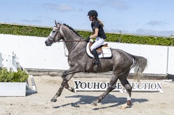 On Fire Oldenburg Jumper photo 4