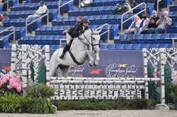 Blue Ridge Holsteiner Hunter photo 5
