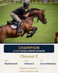 Chennai Z Warmblood Jumper photo 2