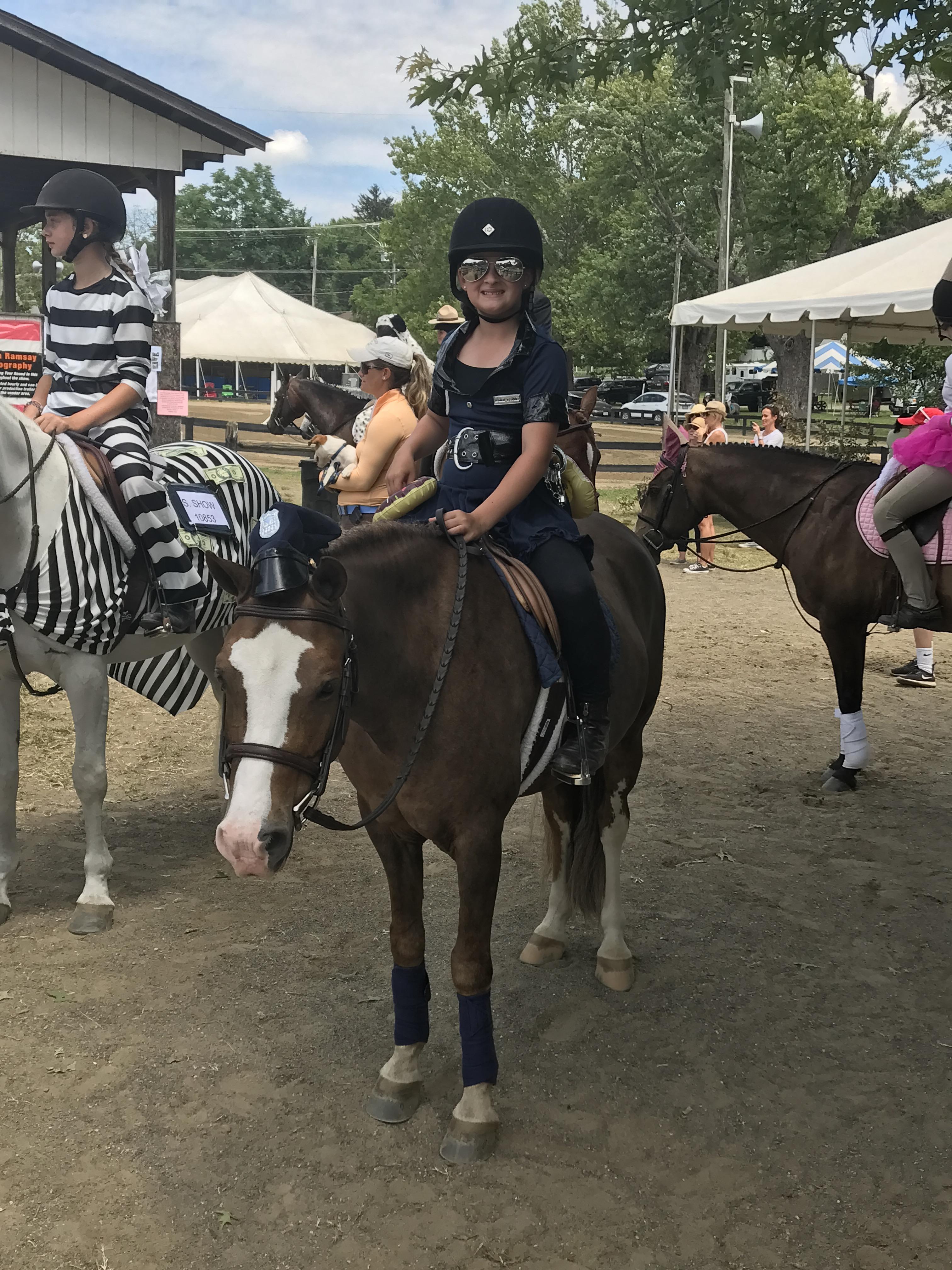 Farnley Crown Prince Welsh Pony Hunter