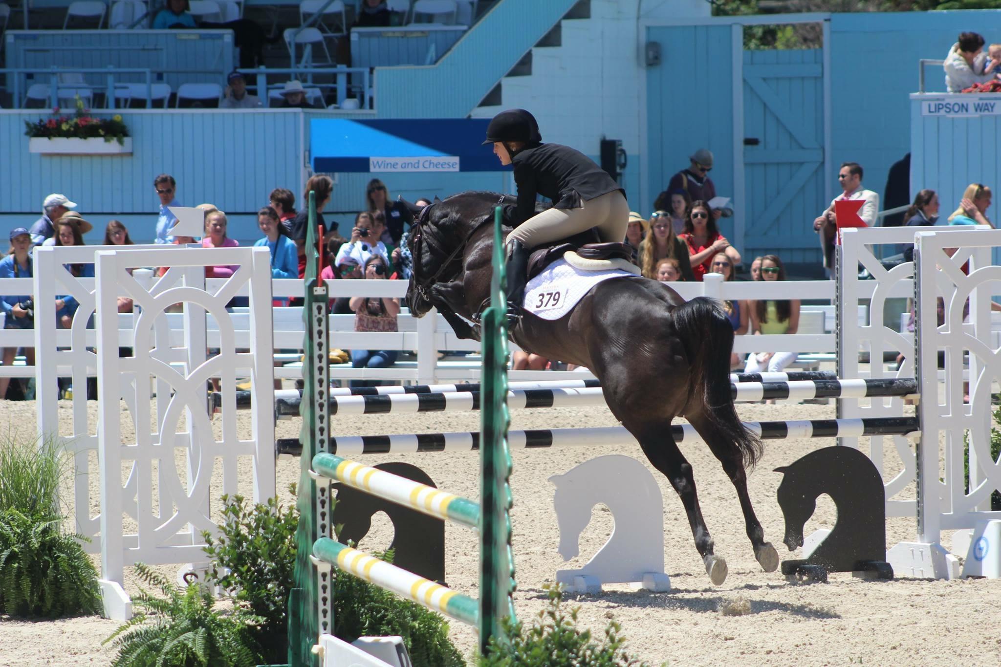Porsche Quarter Horse Jumper