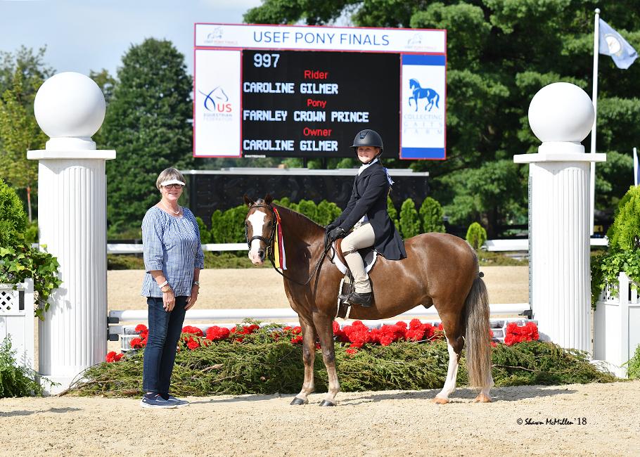 Farnley Crown Prince Welsh Pony Hunter