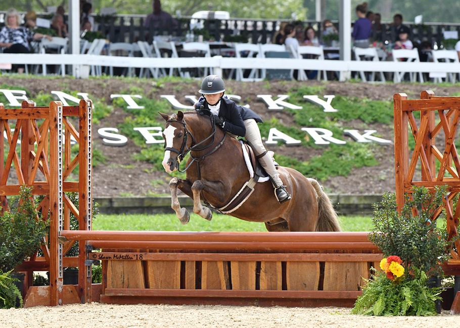 Farnley Crown Prince Welsh Pony Hunter
