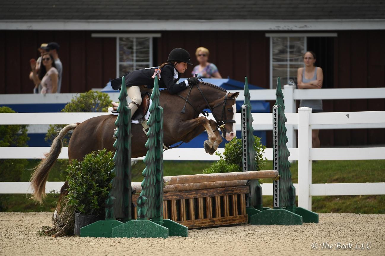 Farnley Crown Prince Welsh Pony Hunter