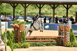 Blue Ridge Holsteiner Hunter photo 4