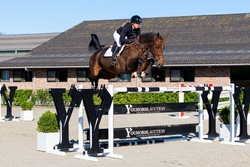 Diva Oldenburg Jumper photo 1