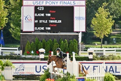 Nemo Welsh Cross Hunter photo 1