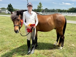 Ferrero Rocher Welsh Cross Hunter photo 10
