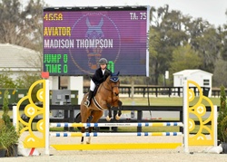 AVIATOR German Riding Pony Jumper photo 3