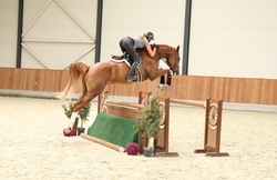Lord Oldenburg Hunter photo 3
