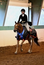 CHERRYBROOK DIANA Warmblood Hunter photo 2