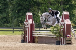 Cascade Hanoverian Equitation photo 2