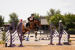 AVIATOR German Riding Pony Jumper photo 7