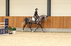 Dundee Oldenburg Jumper photo 3