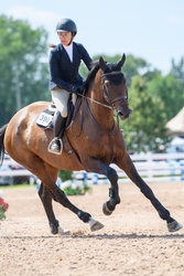 Primrose Oldenburg Jumper photo 5