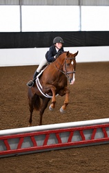WF HARVEST MOON TB Hunter photo 1