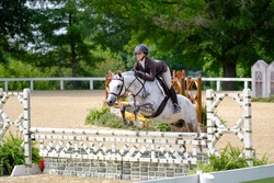 Up Up & Away Welsh Pony Hunter photo 1