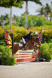 Spirit Welsh Cross Jumper photo 5