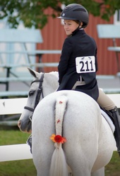Secretly Welsh Cross Hunter photo 6
