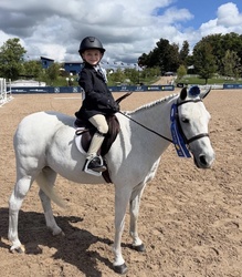 Boca’s Blue Nile Welsh Pony Hunter photo 1