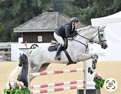 DAKITO P Hanoverian Jumper photo 3