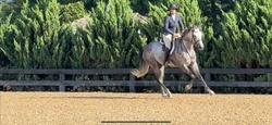 Love Is Forever TB Jumper photo 8