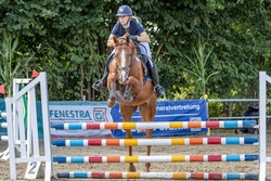 San Sebastian German Warmblood Hunter photo 3
