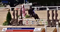 Naponyon Chincoteague Jumper photo 2