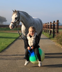 Zazou Other Breed Hunter photo 1