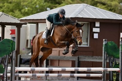 N' The Balou Dutch Warmblood Jumper photo 4