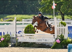 Straight Shooter Welsh Pony Hunter photo 6
