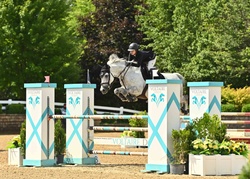 Berlin Zangersheide Jumper photo 5