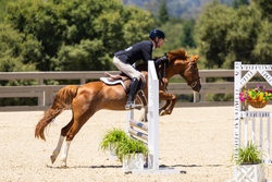 *Drogheda Animal Crackers Connemara Jumper photo 5