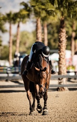 Louboutin Hanoverian Jumper photo 3