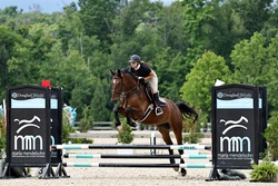 Udalco Belgian Warmblood Jumper photo 1