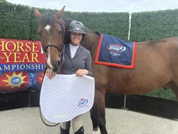 Happy Days Dutch Warmblood Hunter photo 2
