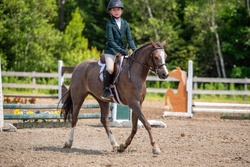 Aurora Welsh Pony Hunter photo 3