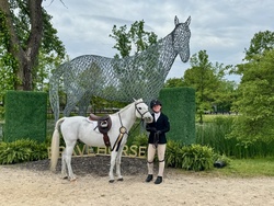 Cross Creek White Water Welsh Pony Hunter photo 3