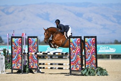Take off Van’t Meulenhof Belgian Warmblood Equitation photo 4