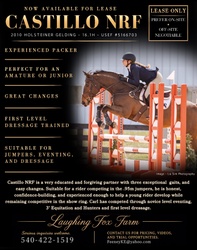 Castillo NRF Holsteiner Jumper photo 2