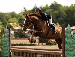 CMS Endeavor Oldenburg Hunter photo 1