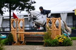 CMS Watermark Westphalian Hunter photo 4