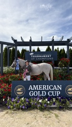 A Million Dreams TB Jumper photo 3