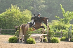 Guru Dutch Warmblood Hunter photo 1
