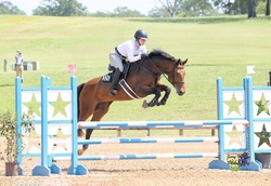 Guns n Roses RC Holsteiner Jumper photo 1