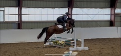 Brightside Welsh Cross Jumper photo 4
