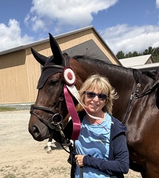 Chennai Z Warmblood Jumper photo 8