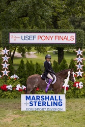 Cane Creek's Oopsie Daisy Welsh Cross Hunter photo 1