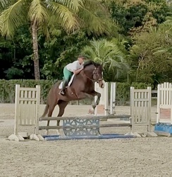 Oscar Appendix Hunter photo 6