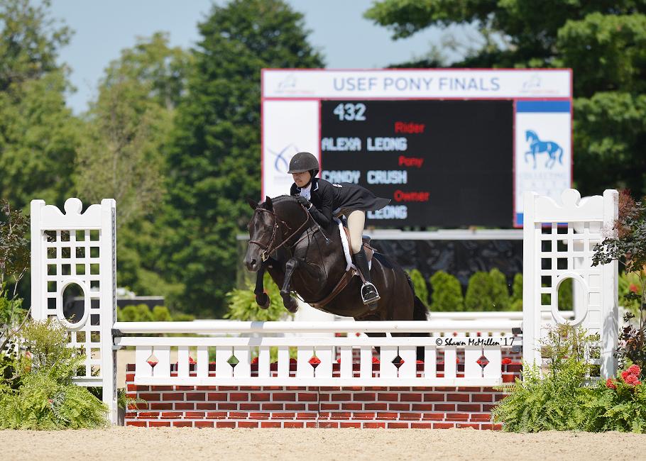 Candy CrushQualified! German Riding Pony Hunter